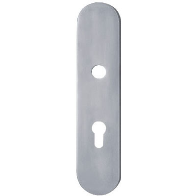 Stainless Steel Handle Plate